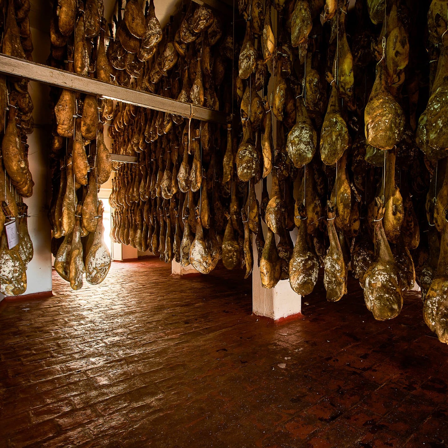 Triple-X-Palette Triple-X-Palette