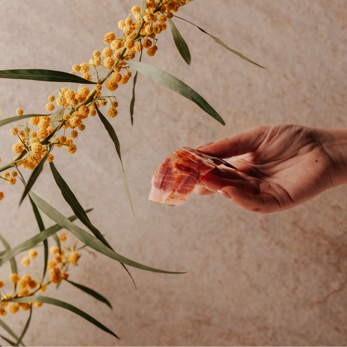 Nitrificantes y Azúcar en el Jamón Ibérico: Lo Que Debes Saber