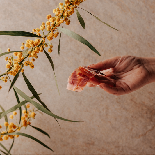 Nitrificantes y Azúcar en el Jamón Ibérico: Lo Que Debes Saber