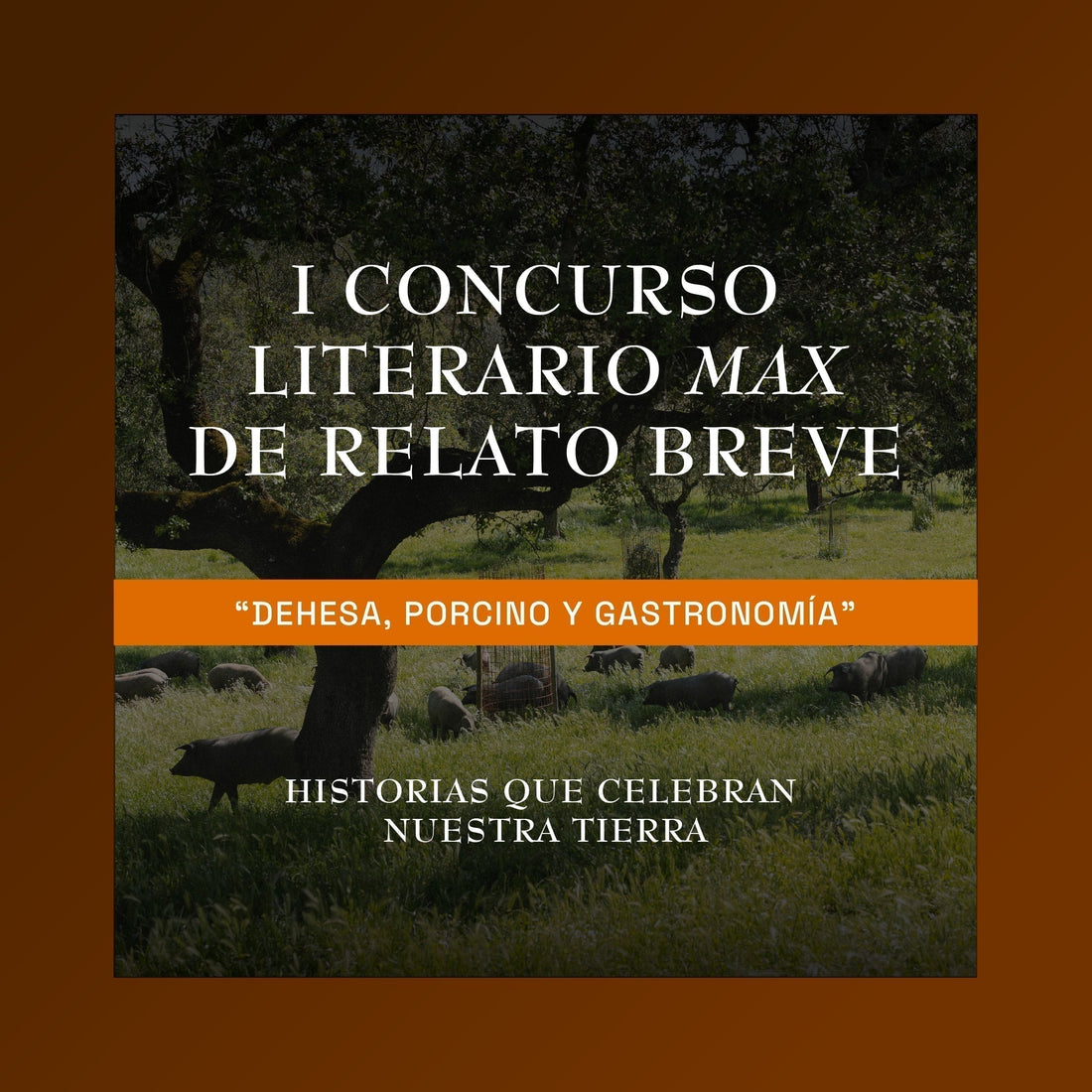 I Concurso Literario de Relato Breve