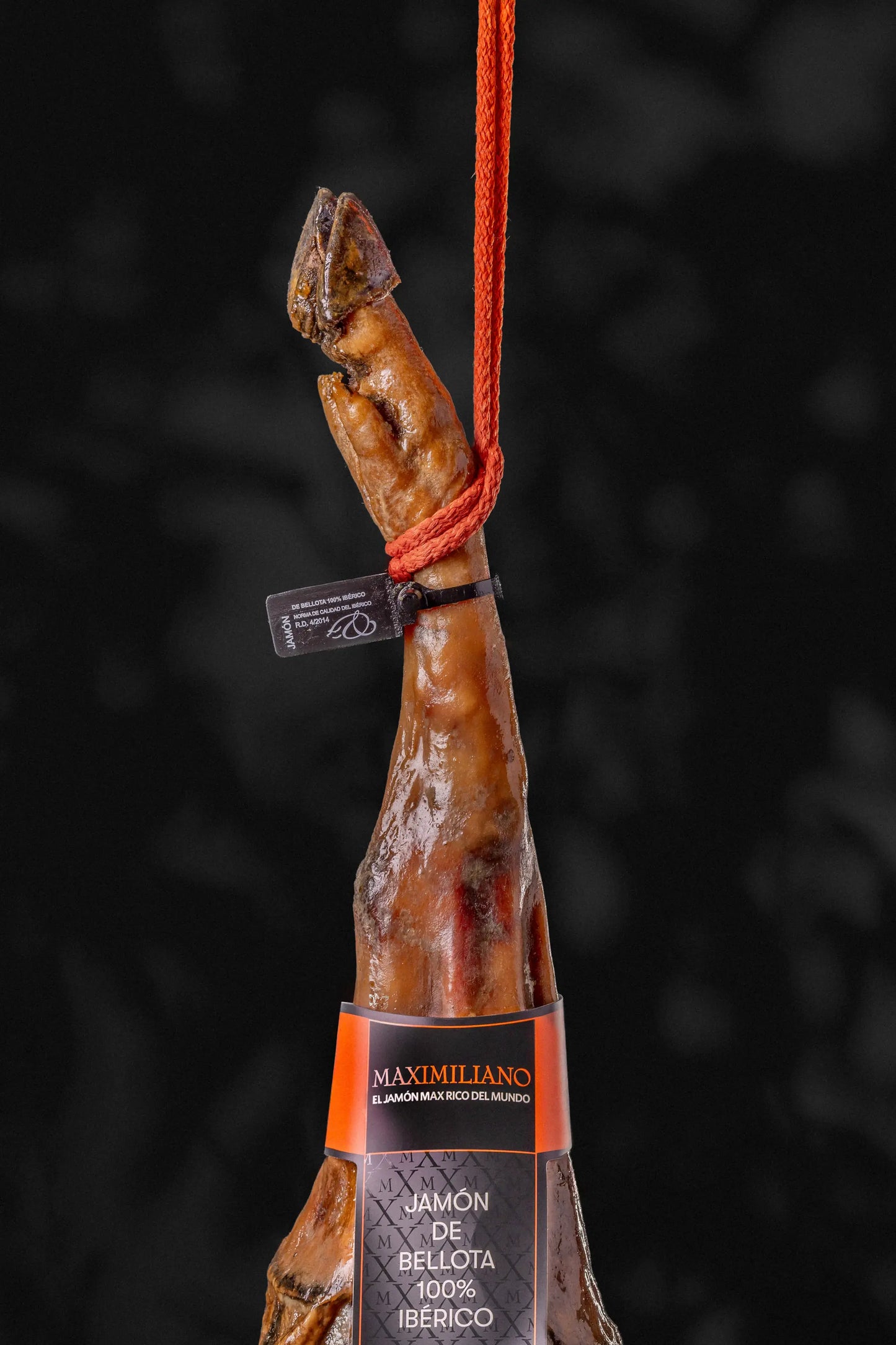 Jamón de Bellota 100% Ibérico