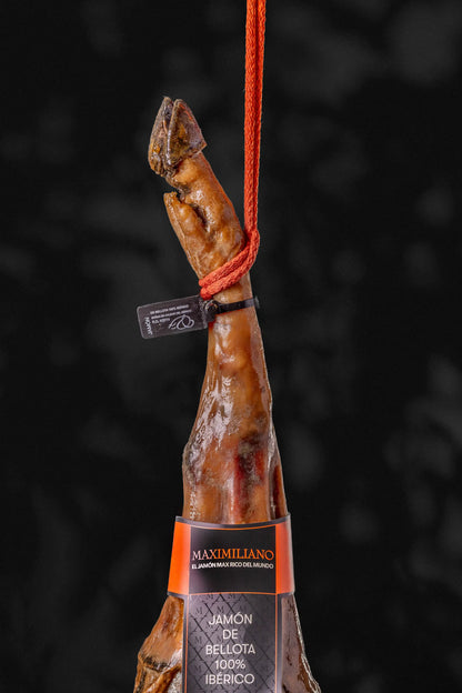 Jamón de Bellota 100% Ibérico