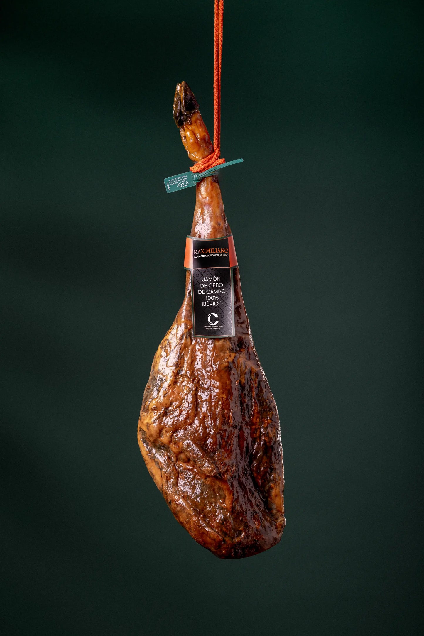 Jamón de Cebo de Campo 100% Ibérico