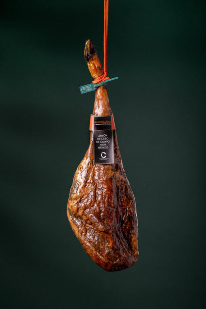 Jamón de Cebo de Campo 100% Ibérico