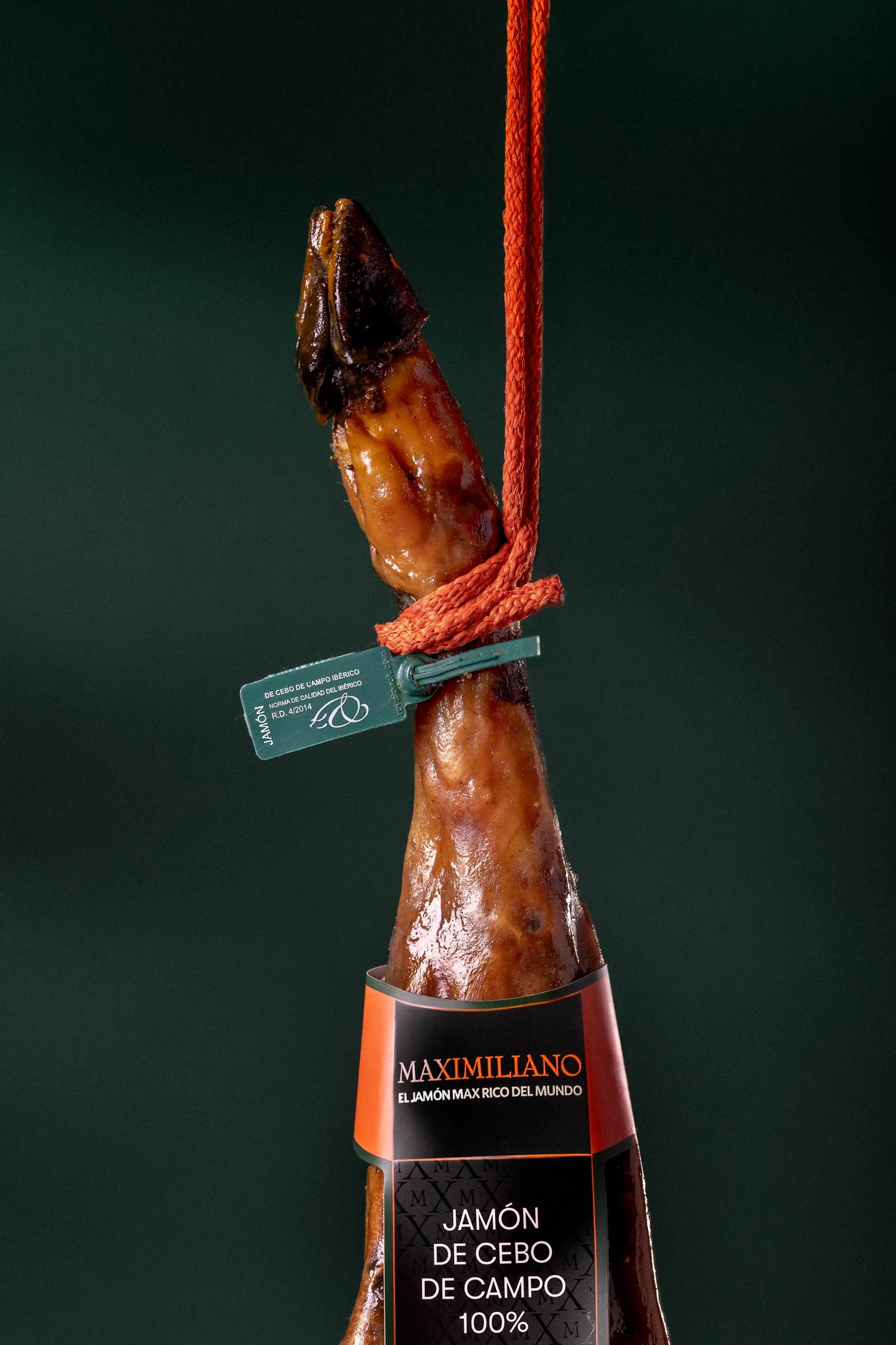 Jamón de Cebo de Campo 100% Ibérico