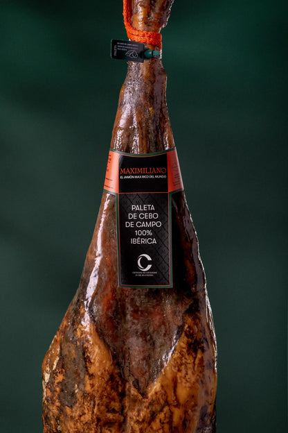 100 % iberische Cebo-Campo-Schulter